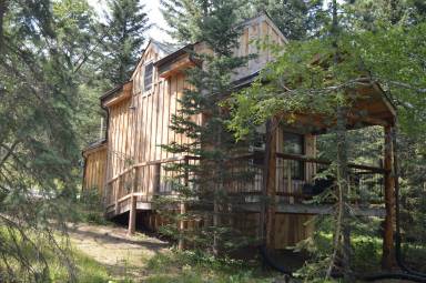 Cabin Deadwood