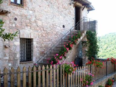 House Macerino