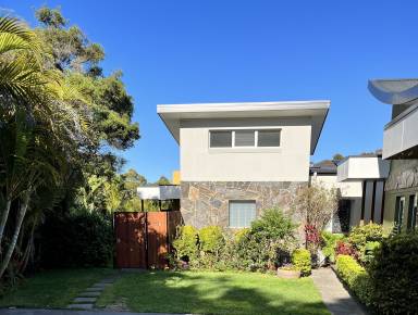 House Yard Narrabeen