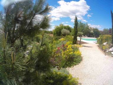 Cottage Vogüé