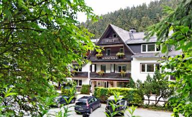 Ferienwohnung Willingen (Upland)