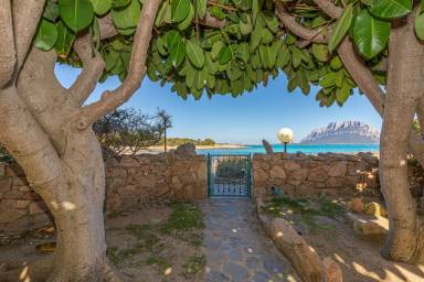Apartment Yard Loiri Porto San Paolo