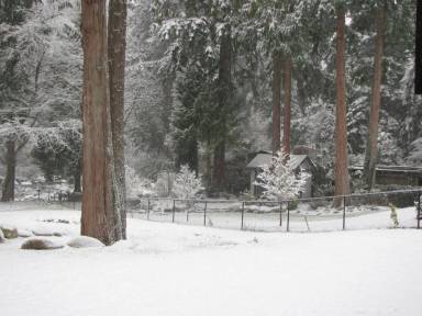Bed & Breakfast Balcony Port Moody