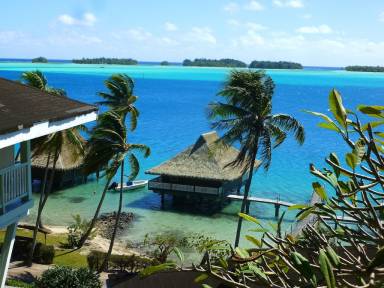 Huis wifi Bora Bora
