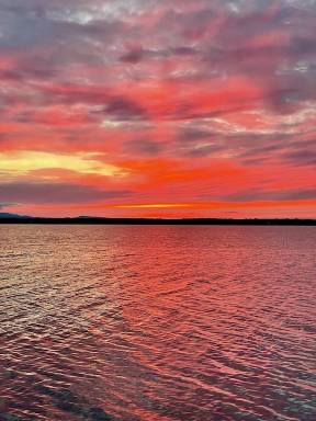 Cottage Alburgh