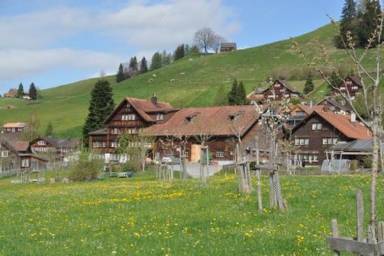 Ferienwohnung Kamin Appenzell