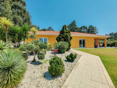Villa Amorosa