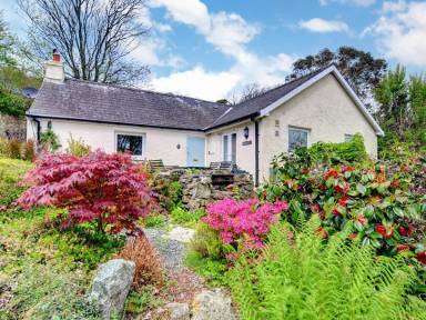 House Pet-friendly Saint Ishmael's