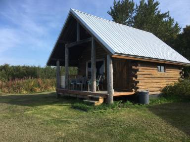 Cabin Kenai
