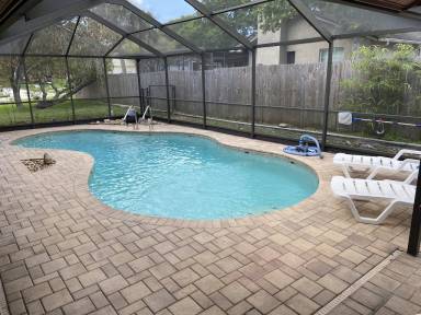 House Pet-friendly Wedgewood Of Palm Harbor