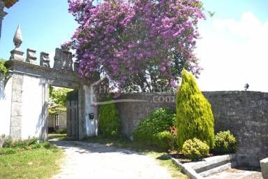Farmhouse Amorosa