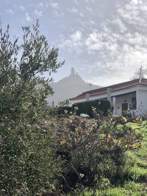 House Artenara
