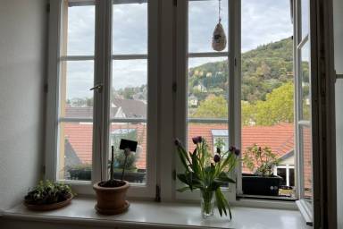 House Kitchen Heidelberg