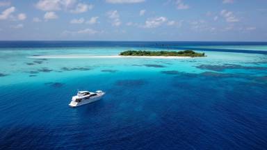 Båt Maldivene