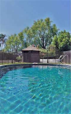 House Pool Encino