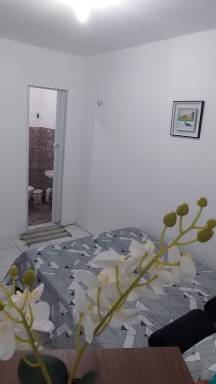 Apartment Pet-friendly São Benedito