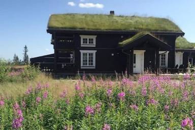 Hus Norefjell