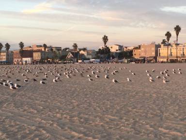 Apartment Venice Beach