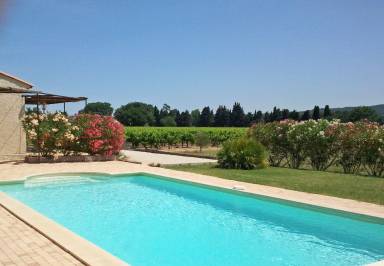 House Pool Saint-Michel-d'Euzet