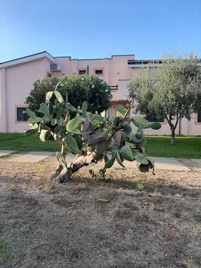 Casa Davoli