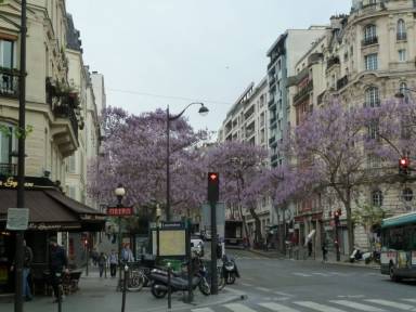 Lägenhet WiFi Paris elfte arrondissement
