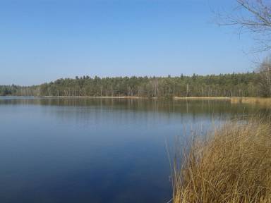 Ferienhaus Neubäu am See