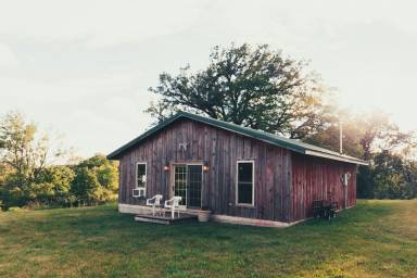 Cabin Coon Rapids