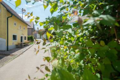 Ferienwohnung Gemeinde Poysdorf