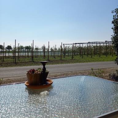 Appartement Meerbusch