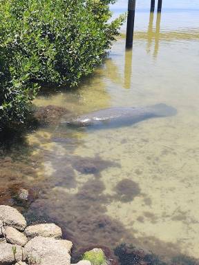 Cottage Pet-friendly Harbor Pines