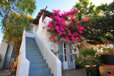 Apartment Antiparos