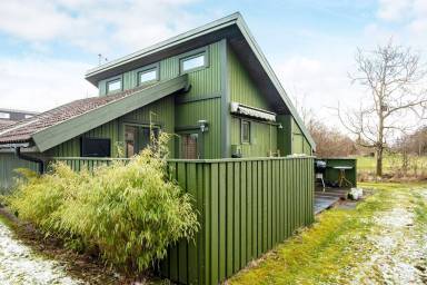 Ferienhaus Bork Havn