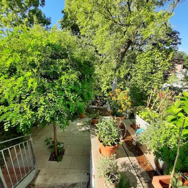 Apartment Pfersee