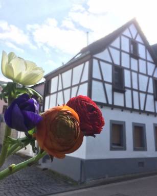 Eine Ferienwohnung in der alten pfälzischen Rheinstadt Andernach - HomeToGo