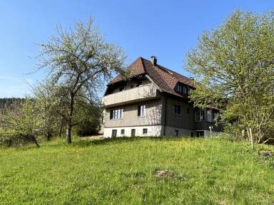House Schönmünzach