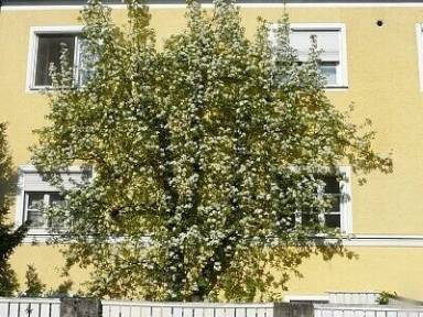 Ferienwohnung Salzburg