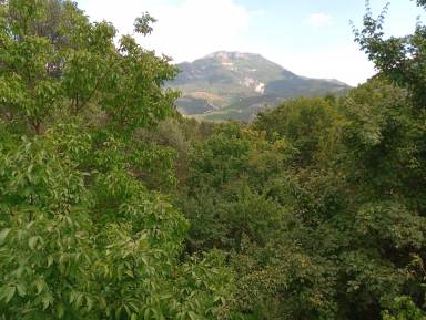 Appartement Castellane