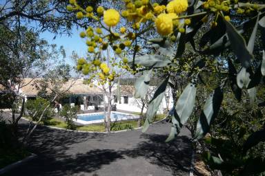 Villa Pool Alcarias
