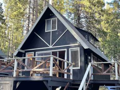 House Yard Pinecrest