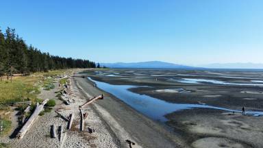 Cottage Parksville