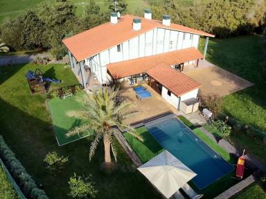 Casa Mascotas Baquio