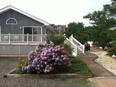 House Barnegat Light