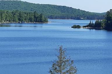 Cottage Lake Saint Peter