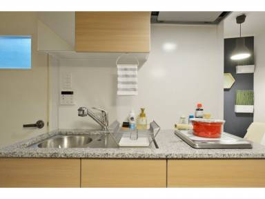House Pet-friendly Suita