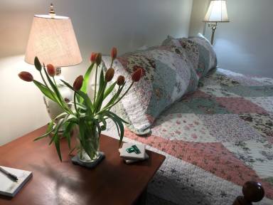 Accommodation Storrs