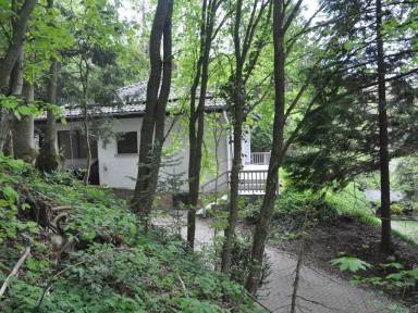 Ferienhaus Buchschirm