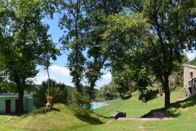 Sal a recoger setas desde tus alquileres vacacionales en Osona - HomeToGo