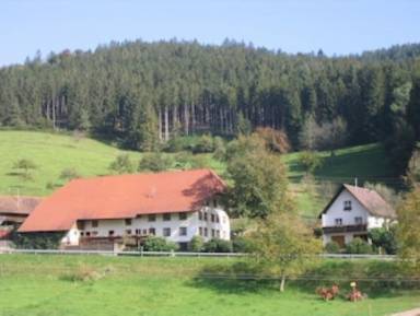Condo Balcony/Patio Biederbach