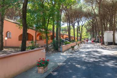 Bungalow Trädgård Comacchio