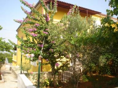Apartment Slatine